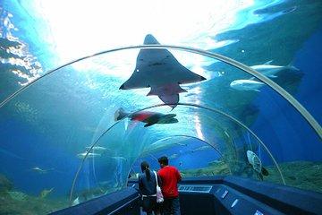 Pattaya Underwater World Tickets with Optional Hotel Pickup