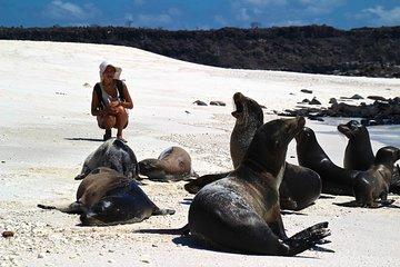 Galapagos Land Based Eco Adventure Hiking and Snorkeling