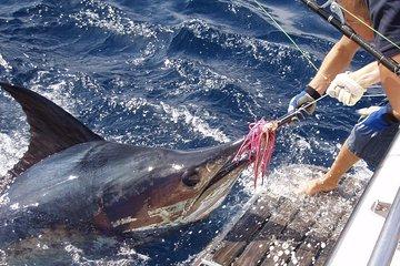 Big Game Fishing from Vilamoura - Private trip
