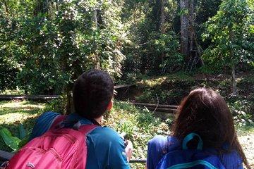 Semenggoh Orangutan Center & Jong's Crocodile Farm