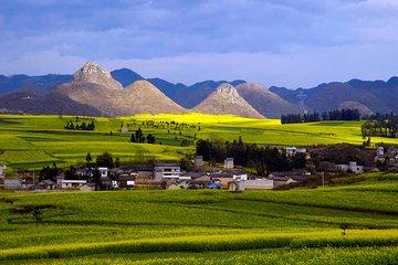 5 Days Luoping Golden Canola Flower Tour