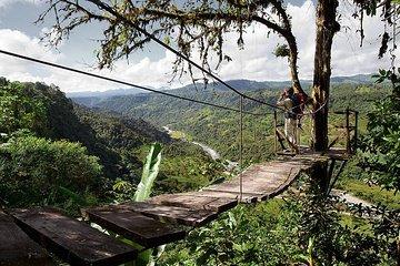 Full-Day Adventure and Nature Tour of the Mindo Cloud Forest from Quito, Ecuador