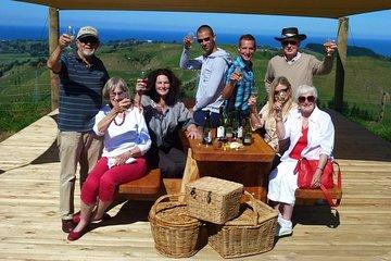 Napier Afternoon Wine, & Gin Tasting ( no gin Mon -Wed )