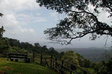 Full-Day Brownsberg Nature Park Tour