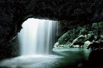 Natural Bridge Glow Worm Night Tour from Gold Coast
