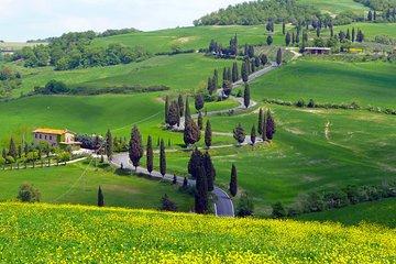 Pienza, Val d'Orcia, Montalcino wine and Pecorino cheese PRIVATE TOUR from SIENA