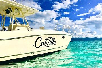 Half-Day Private Charter from St John