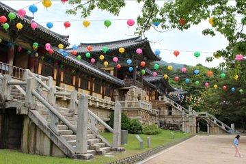 Private Gyeongju UNESCO World Heritage Tour