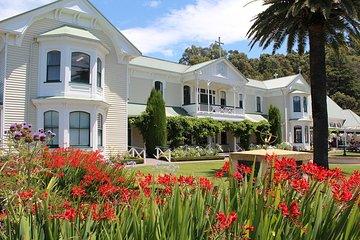 Small Group - Hawke's Bay - Napier Winery Tour - 5.5 hours