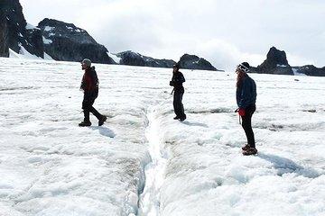 Albino's Eye Glacier Full-Day Trekking Tour from Ushuaia