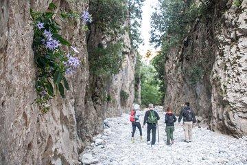 Hike the Gorgeous Gorge