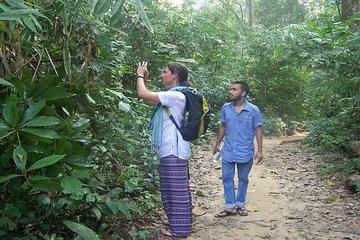 Private Sreemangal Adventure Tour from Sylhet