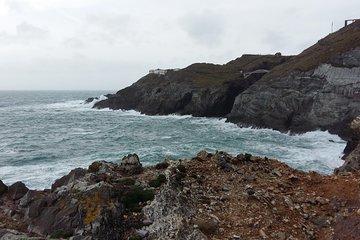 Full-day Private Mizen Head tour from Killarney