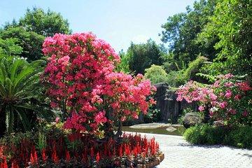 Xiamen Private Day Tour: Botanical Garden and Jimei School Village