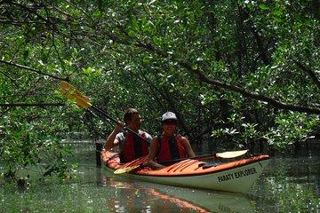 Paraty Sea Kayak Trip (2 days)
