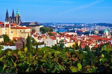 Private Full-Day Prague Tour from Bratislava