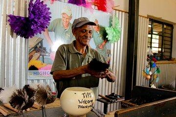Skip the Line: Highgate Ostrich Farm Tour Ticket