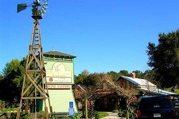 Semi-Private, Modified Hop-On Hop-Off Wine Tasting Tour from Cambria &San Simeon