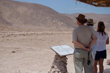 Pintados Geoglyphs, Humberstone and Salar Crespo tour
