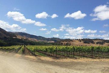 Wine Lovers Tour from Santa Barbara Area