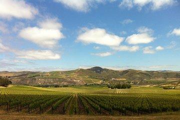 Private Wine Tour from the Santa Ynez Valley
