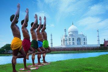 Taj Mahal and Agra Fort Day Trip from Delhi by Return Train Trip