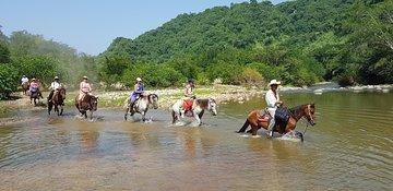 Hot Springs Horseback Riding Adventure