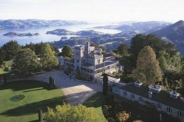 Dunedin Shore Excursion - Sightseeing, Larnach Castle, Chinese Garden & Museum