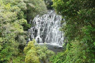 Explore Shillong From Guwahati With Breakfast & Lunch