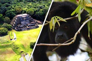 Altun Ha and Howler Monkey Sanctuary Tour