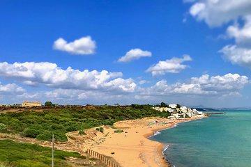 SELINUNTE and EVOO Private Tour with Local Guide starts from Agrigento/Sciacca
