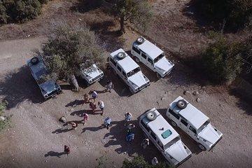 Cruise and 4X4 Safari Tour at Akamas Peninsula from Aphrodite Hills