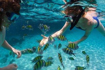 Puerto Plata Snorkeling Tour