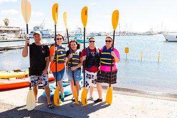 Santa Barbara Harbor Kayak Tour