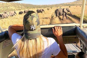 4 Days Serengeti, Tarangire, Ngorongoro Safari Tour
