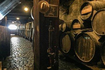 Mount Teide and Tenerife North with Food & Wine Tasting Private Tour