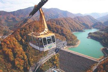2-Day Niigata Autumn Tour including Naeba Dragondola and Ropeways
