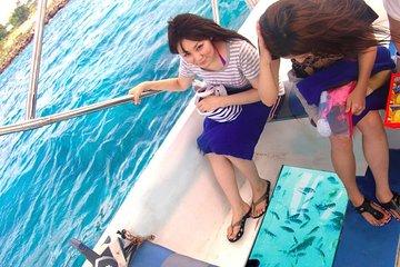 Glass Bottom Boat