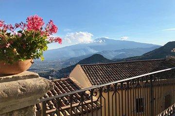 Mt Etna and Winery Lunch Big Day Out Tour - 3 people minimum