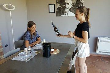Winery And Oil Mill Tasting Tour