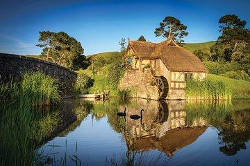 Rotorua to Auckland via Hobbiton Movie Set and Waitomo Caves OneWay Private Tour