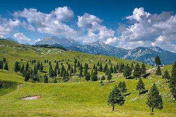 Tour of Kamnik & Velika Planina from Bled