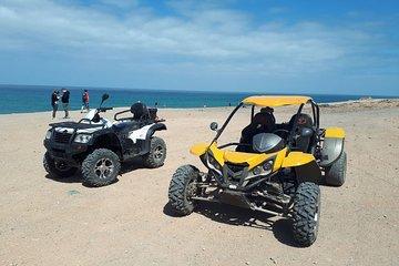 Buggy Safari In Costa Calma