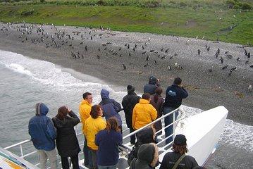 Navigation to the Penguin Colony
