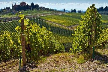 The Tuscany Countryside from Livorno Port. Lunch and wine in the farm included!
