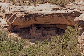 Mesa Verde National Park Full Day Tour