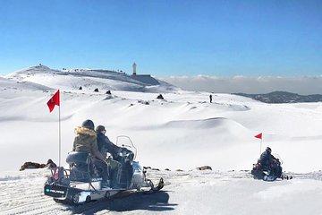 Snowmobile Half Day Tour & Scenic Adventure