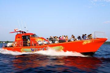 2 hour 1000 Islands 'Castle Prowler' WildCat Cruise