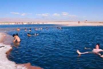San Pedro de Atacama: Half day Cejar Lagoon afternoon tour.