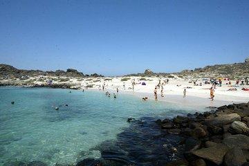 La Serena: Full day to Isla Damas & Humbolt Pinguino National Reserve